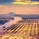 Manuel Saavedra avatar